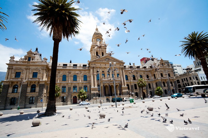 Nam Phi - Hành trình khám phá lục địa đen: Johannesburg - Cape Town - Sun City - Pretoria | Mùa Hoa Phượng Tím (Ưu đãi giảm ngay 5 triệu/khách khi ĐK và đóng cọc trước ngày 10/8/2023) 